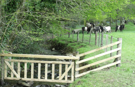 Stock proof fencing for all types of livestock